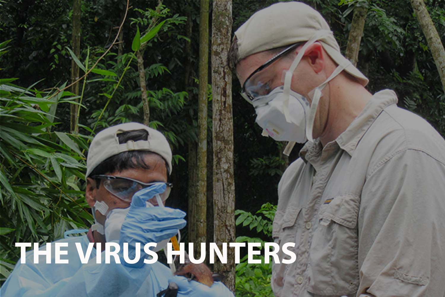 Unearthing the Mysteries in The Virus Hunters