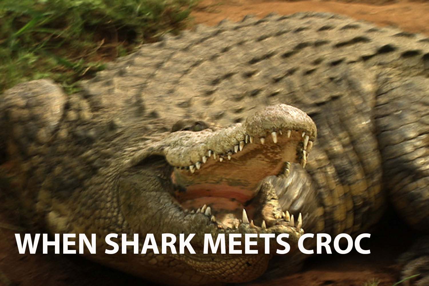 The Intriguing Battle