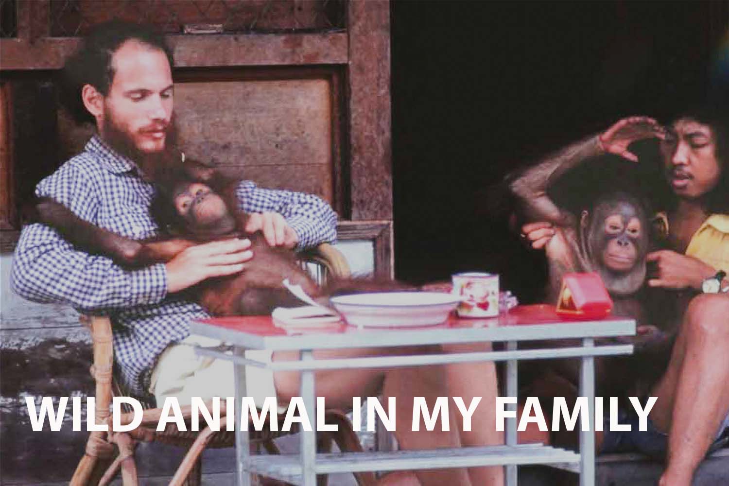 A Closer Look: Wild Animal in My Family