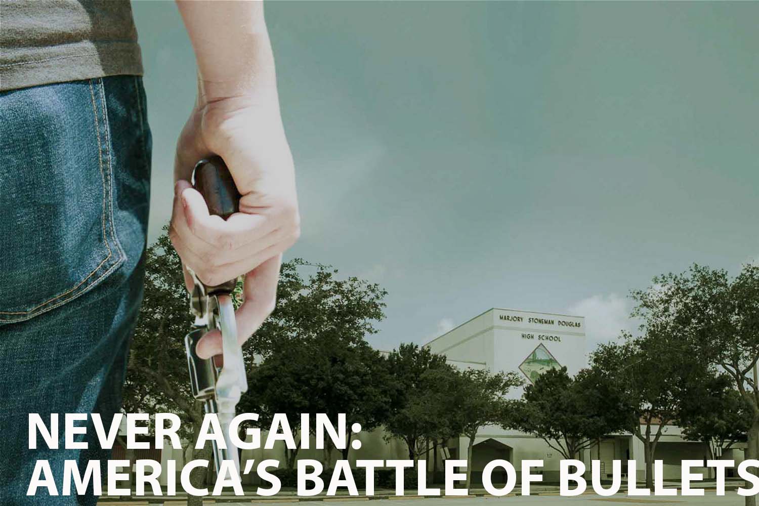A Review of Never Again: America's battle of bullets