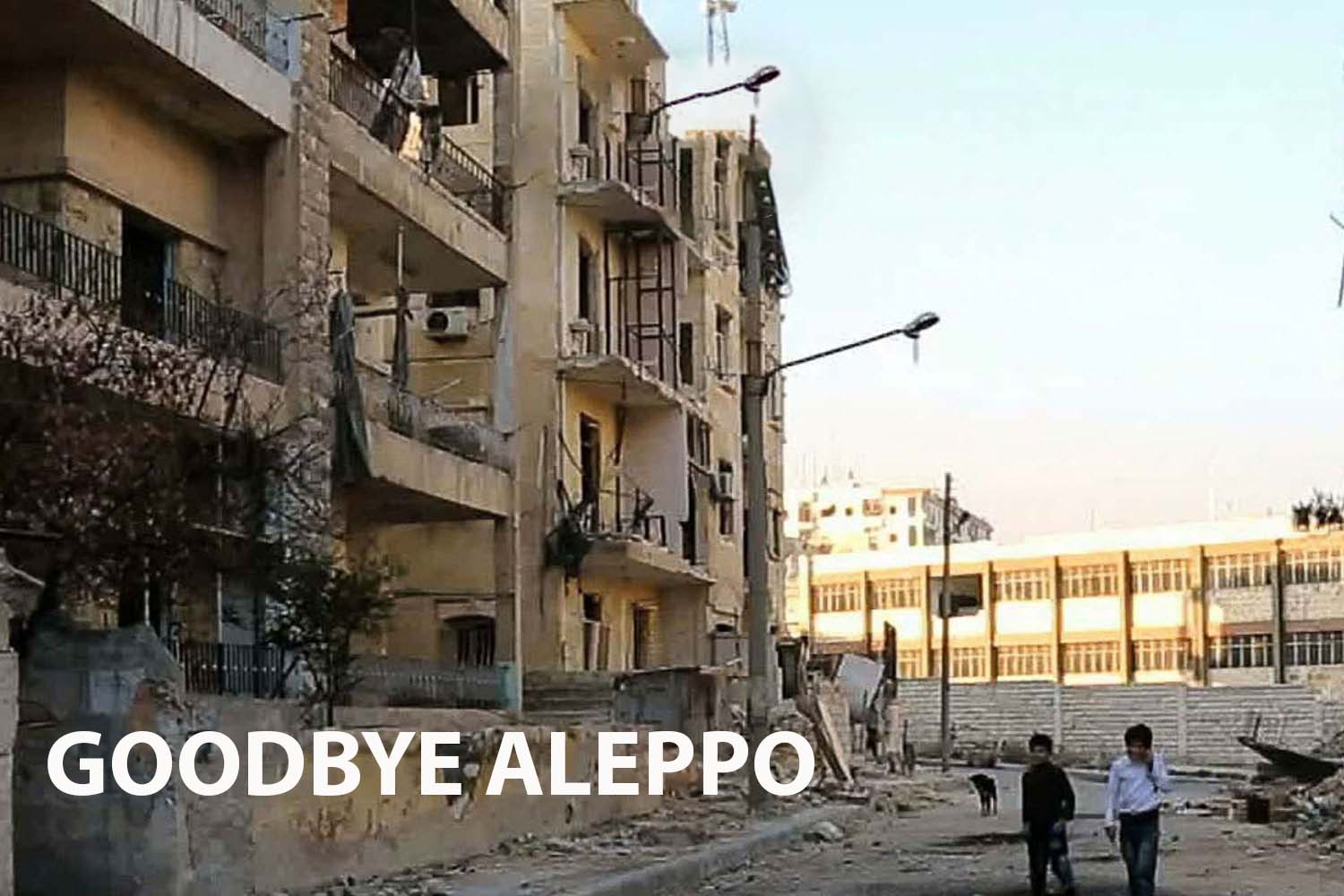 A Review of "Goodbye Aleppo"