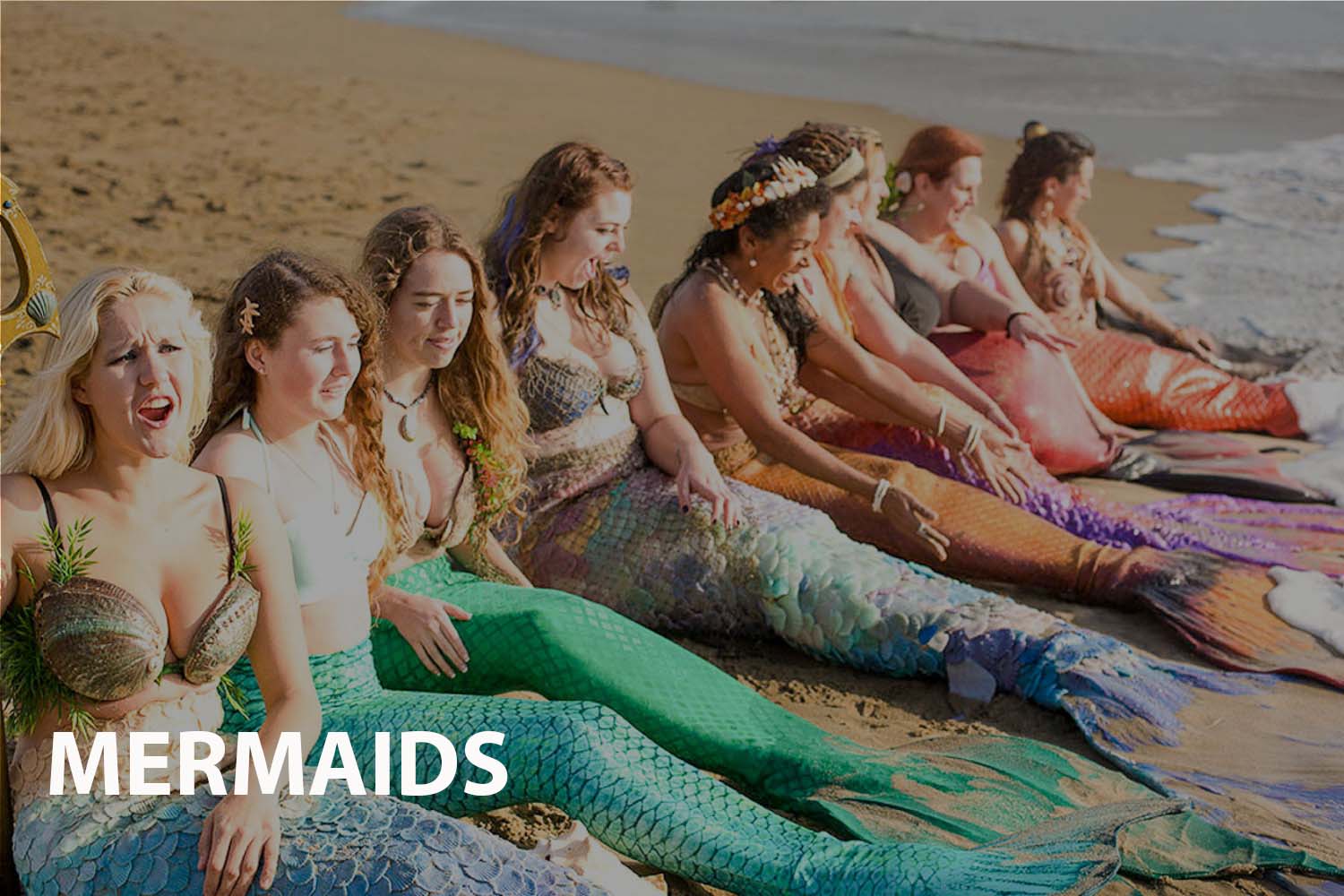 Exploring the Mermaids documentary
