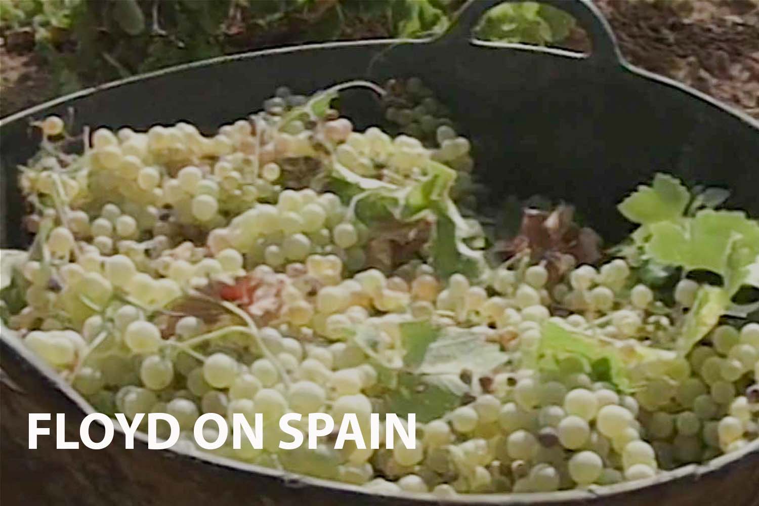 "Exploring the Rich Culinary Landscape of Spain with Keith Floyd"
