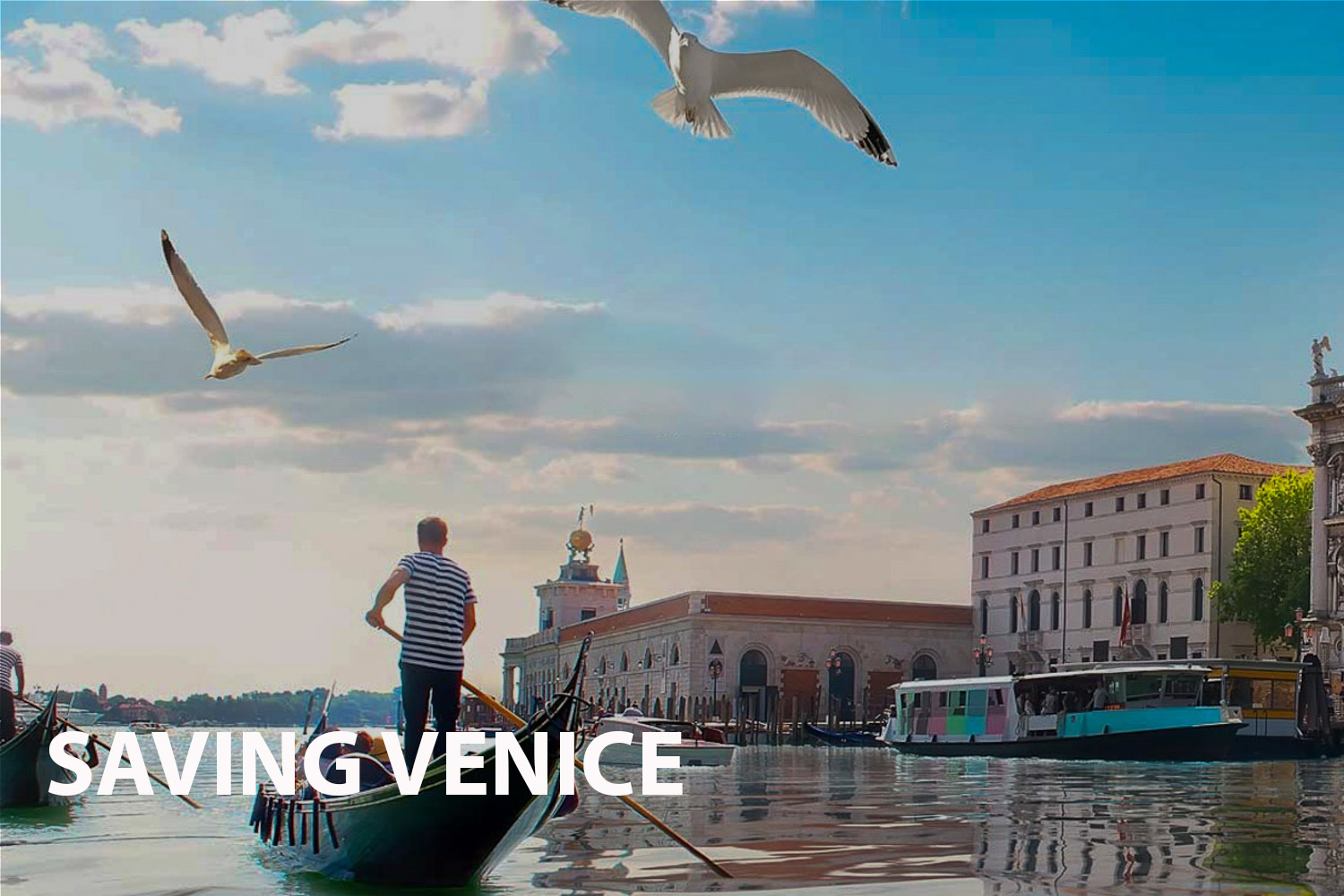 Saving Venice: The Fight for a City's Survival