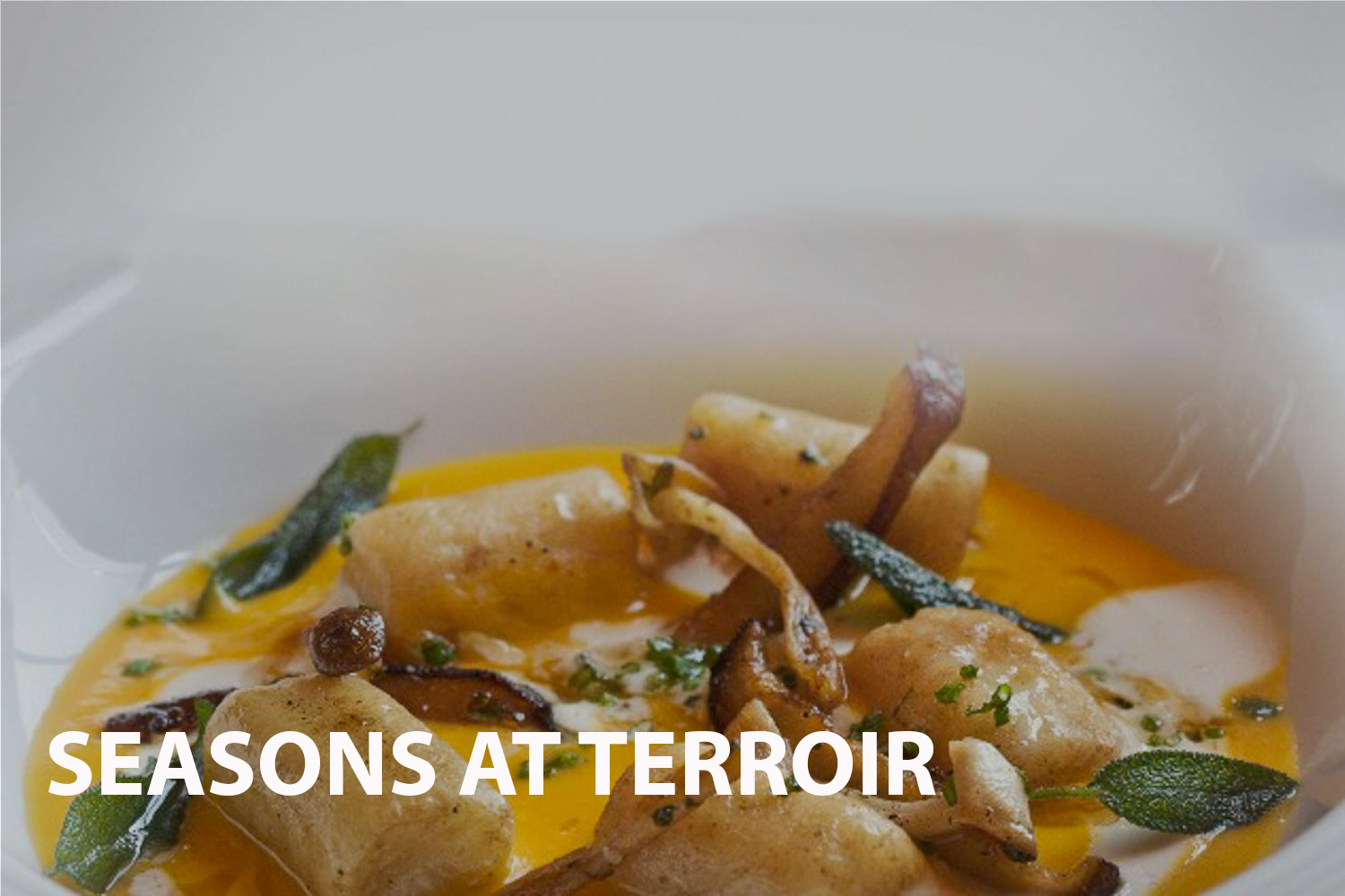Seasons at Terroir, the world-famous South African restaurant