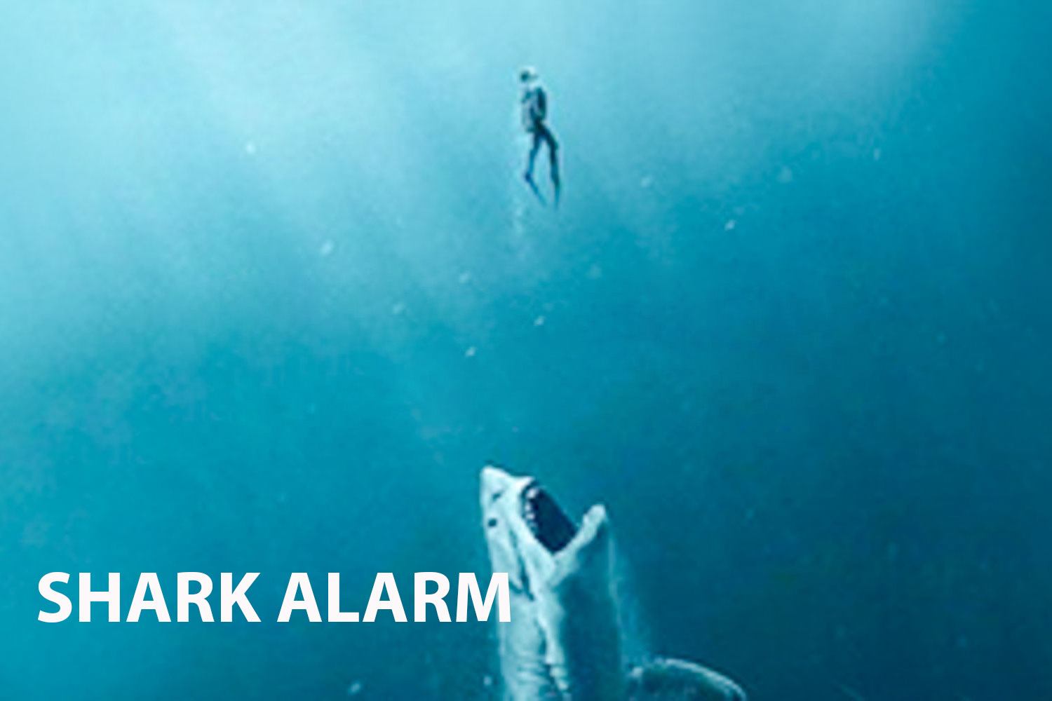 An In-depth Dive into "Shark Alarm"